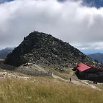 Zuzo Flat Stare Koliesko 96