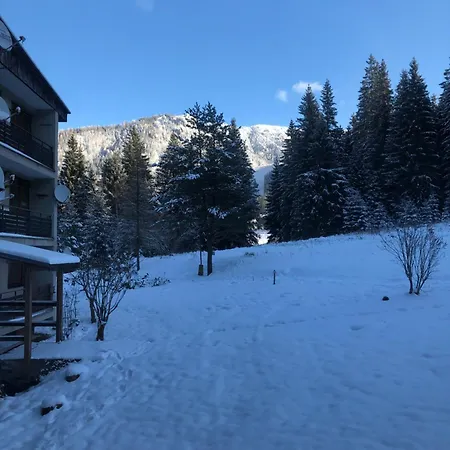Apartment Zuzo Flat Stare Koliesko 96 *