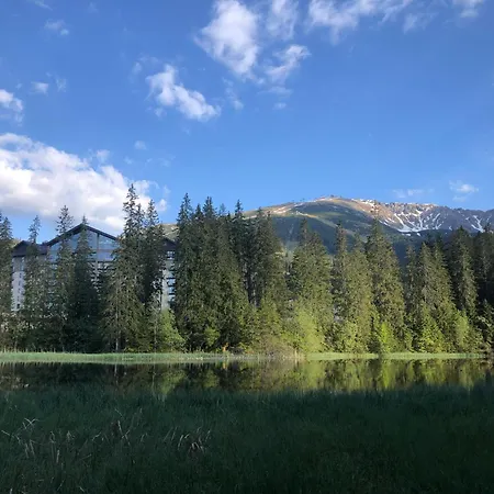 Daire Zuzo Flat Stare Koliesko 96