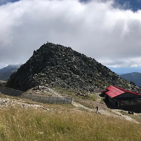 Zuzo Flat Stare Koliesko 96